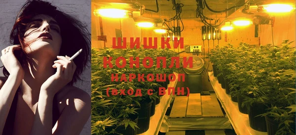 дживик Чекалин