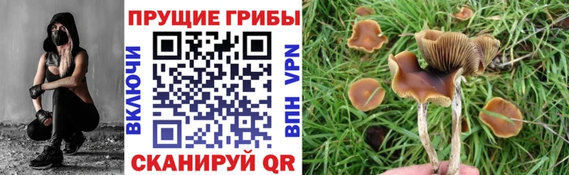 Купить закладки  Усмань  Псилоцибиновые грибы мухоморы 